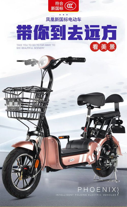 鳳凰新國(guó)標(biāo)電動(dòng)自行車(chē)鉛酸電池助力車(chē)男女成人小型代駕電瓶電動(dòng)車(chē)42v 12a 鴻途