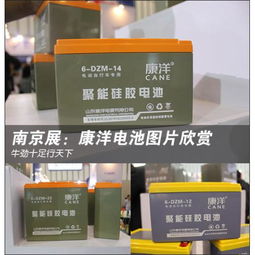 儲(chǔ)能電池 電動(dòng)助力車蓄電池的市場(chǎng)分析與應(yīng)用前景